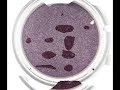 Click here to watch this video Glam pingment Zoeva by Shopnatura