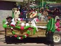 TIGRILLO PALMA MIX