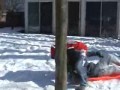 Sledding 3 Sledding 3