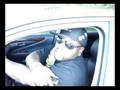 videos de kyle rifkin in new lexus car
