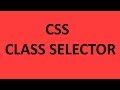Punjabi Revolution tutorial CSS class selector