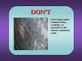 Symptoms of Toxic Mold and How to Avoid it