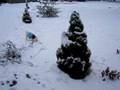 Dogbook Movie: snow dogs