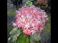 Autumn in South Korea