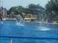 marineland