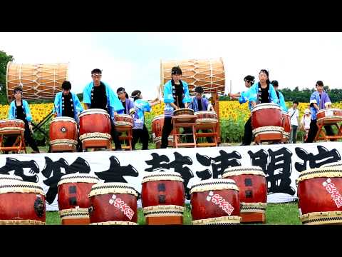 動画