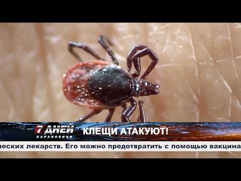 Итоговая программа 7 дней от 06 апреля 2025.