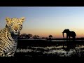 Urban Allstars - It began in africa