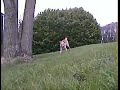 Archos AV500 mini cam record test