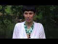 Obejrzyj materiał wideo Obejrzyj materiał wideo