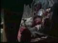 loups_blancs_betisier.wmv