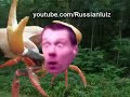 Буйный краб Славика - RYTP