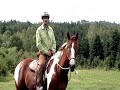cours nutrtion alimentation equine cours nutrtion alimentation equine