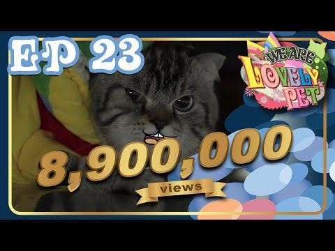 We Are Lovely Pet -