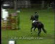 L'ARC DE TRIOMPHE STALLION BY LANDOR S / PILOT