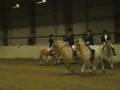 Fjord Quadrille