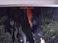 Gothic 3 Gameplay RPG INNOS XARDAS MYRTANA NORDMAR VARANT Walka z trolami Gothic III  trolls fight