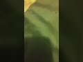 Dude falls trying to get up XD