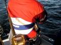 Reeling in a 60 Bluefin Tuna