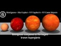 A short description of betelgeuse