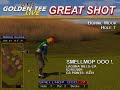 Golden Tee Great Shot on Bonnie Moor!