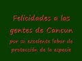Salvar los cangrejos en Cancun - Mexico