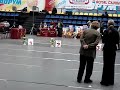 MOV07923.MPG