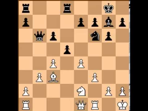 magnus carlsen