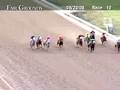 FAIR GROUNDS, 2008-08-20, Race 10