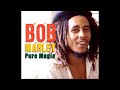 BoB Marley & The Wailers - Duppy Conqueror (Dubplate Mix By Rasta Lion Sound)