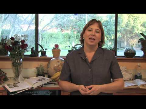 how to drain kidney beans