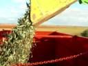 Deutz-Fahr Agrotron 85 - Pala Ten�as B2