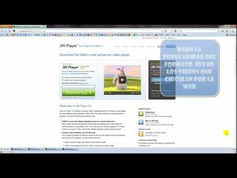how to use skin in jwplayer