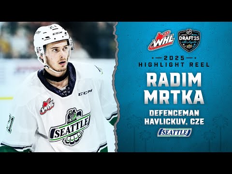 Radim Mrtka - 2025 NHL Draft Highlight Reel
