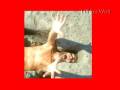 videos de HALLOWEEN HELL HOLE SUCKS BODY scary funny wtf SUPRISE TOUCHES MUSCULAR EXPERT ha big fake lol sweet
