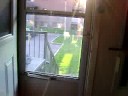 Door to Door Sales Dog