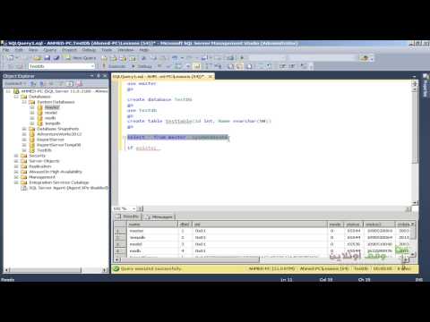 how to query wordpress database