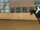 Twinholm Horse Show! (Me && Marcedes)