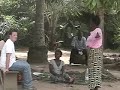 Famille Zadi