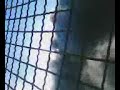 Real Escala Inc�ndio 2
