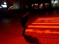 Der Verr�ckte vom Zebrastreifen