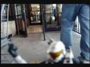 Talking with the Spartans: THE MOVIE PART 2