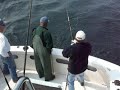 Courtesy of Bob's Trophy Charters