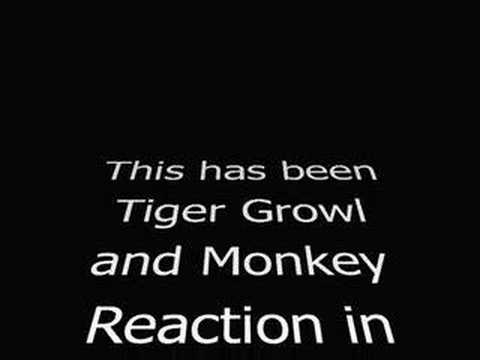 TIGER GROWL
