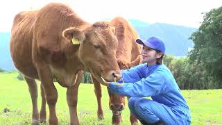 東海大学 熊本キャンパス「学校紹介」動画