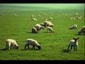 videos de Guide Me Oh Thou Great Jehovah