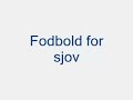 fodbold for sjov