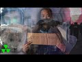 Gimme Shelter (OFFICIAL MUSIC VIDEO)