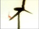 wire daisies - never meant to hurt you
directed by victor blanke 
production company: outside line
� 2008 emi / transistor project / mrv

**this video and song were part of the international efforts of global cool