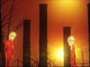 wire daisies - never meant to hurt you
directed by victor blanke 
production company: outside line
� 2008 emi / transistor project / mrv

**this video and song were part of the international efforts of global cool